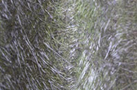 Trefgarn Owen fibreglass roof work